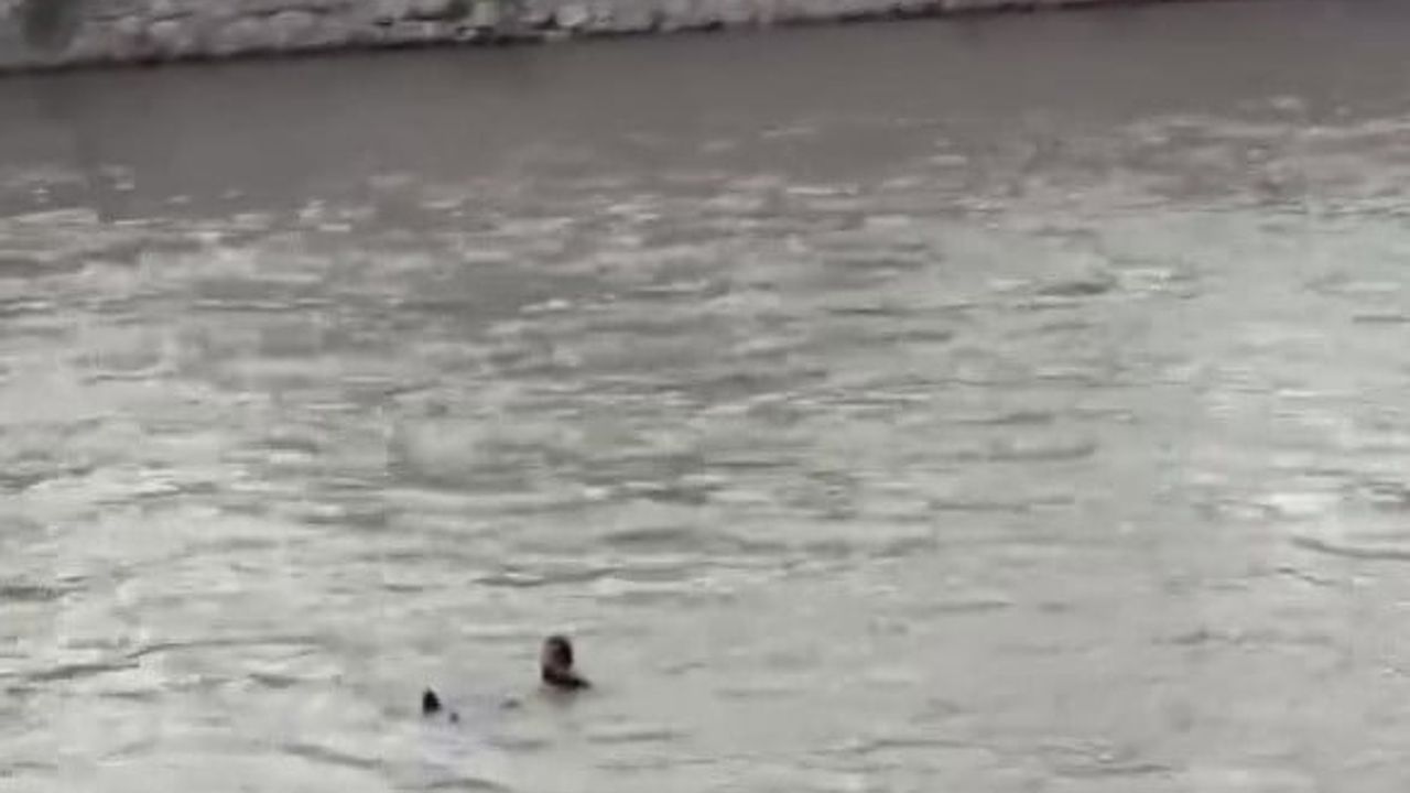 Amasya'da Yeşilırmak Nehri'ne atlayan kişi ekiplerce kurtarıldı