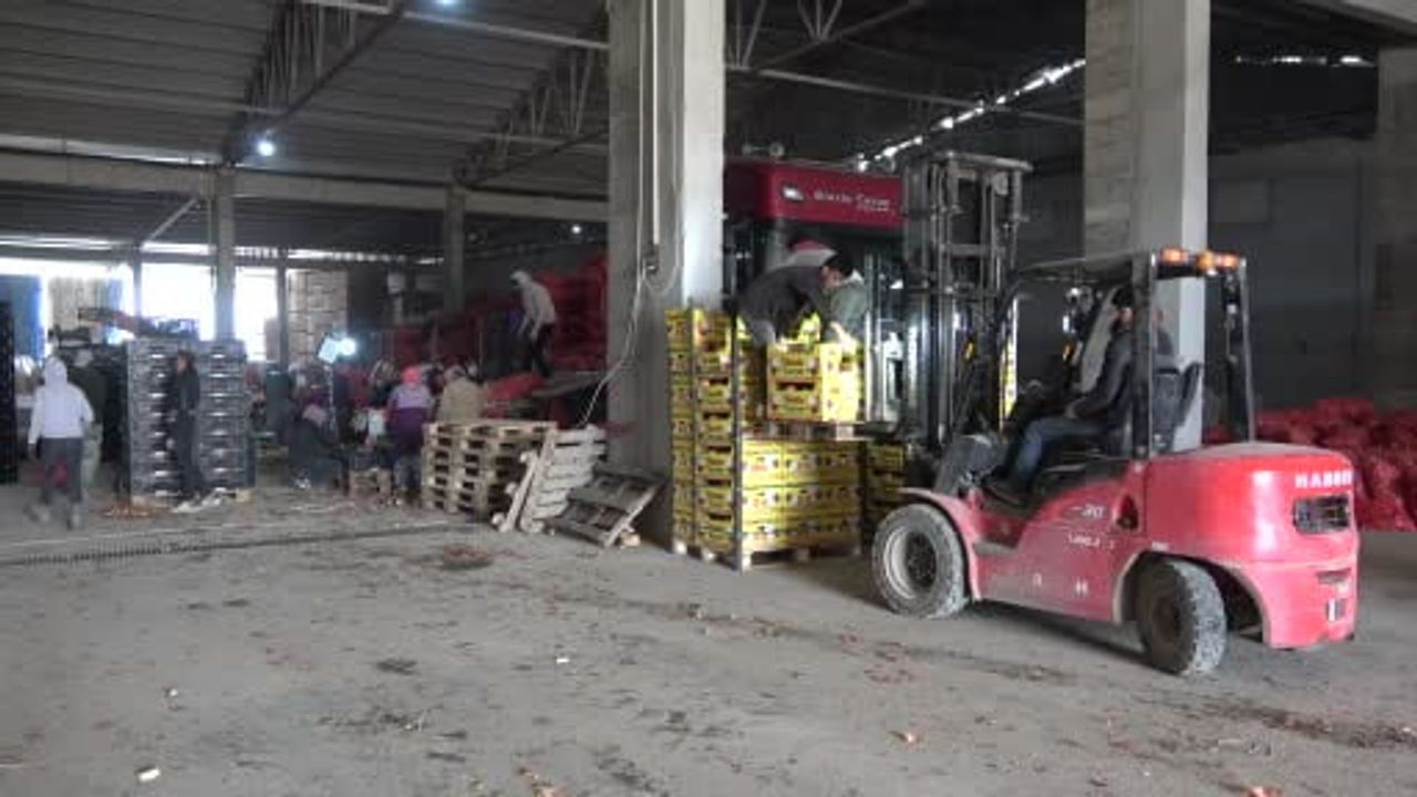 Amasya'nın coğrafi işaretli soğanı depoda 7,5 TL, pazarda 15 TL'den Avrupa'ya gönderiliyor