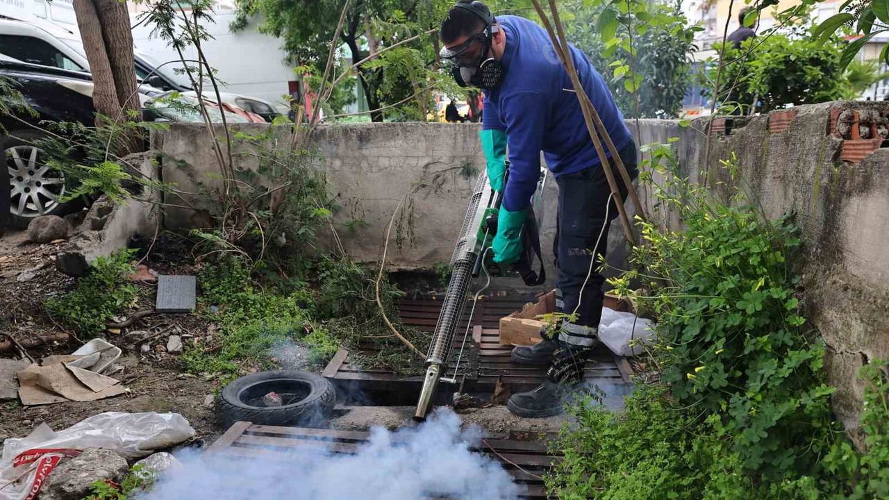Antalya Büyükşehir’den sivrisinek ve vektörlere karşı yoğun üreme alanı çalışması