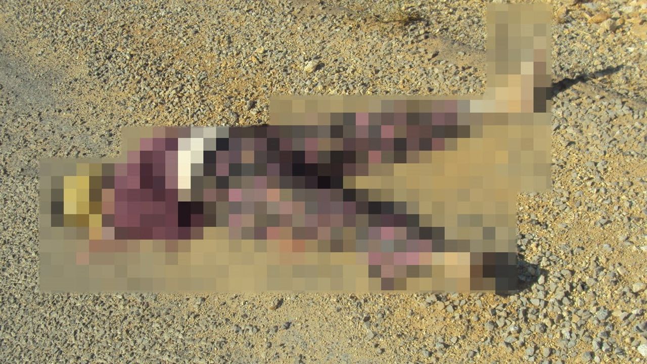 Antalya'da 2011'deki kadın cinayeti, DNA eşleşmesiyle 15 yıl sonra çözüldü