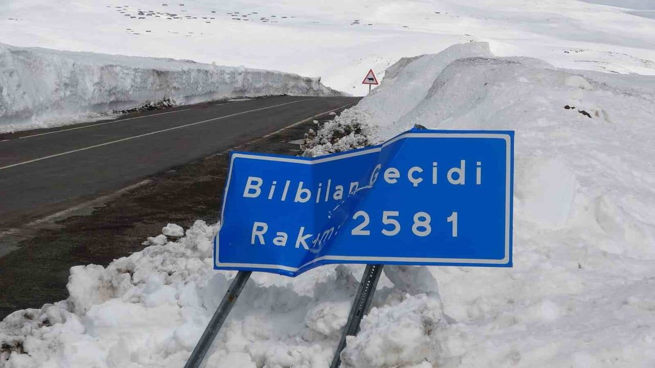 Ardahan'da 2 bin 581 metrede arıcılar Bülbülhan Geçidi'nin kışın açık tutulmasını istedi