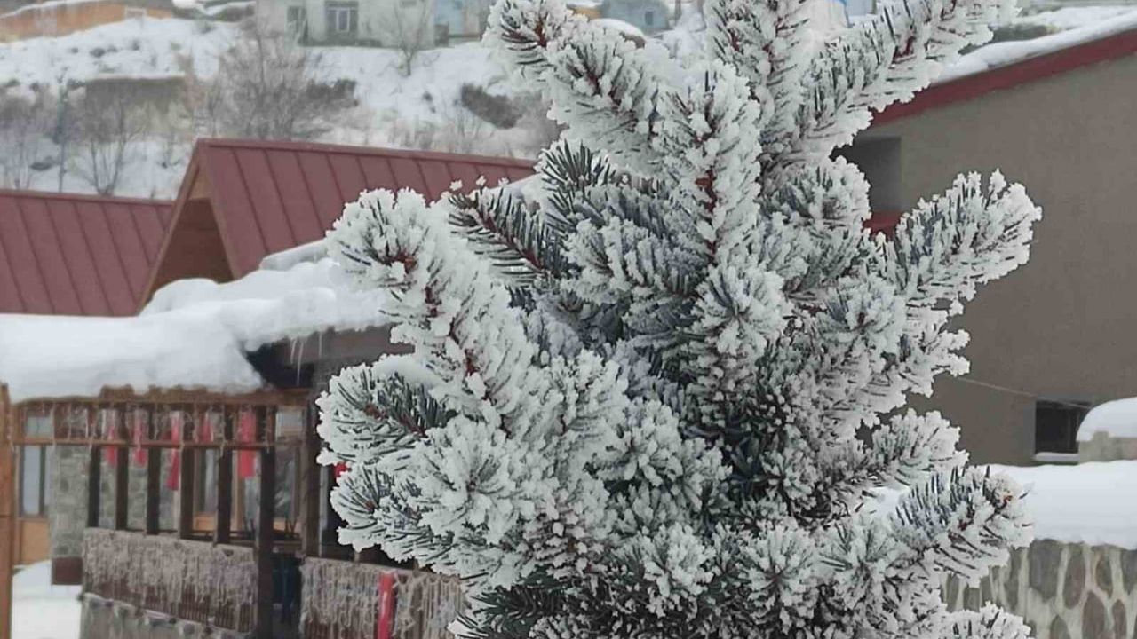 Ardahan'da kar sonrası dondurucu soğuklar etkisini sürdürüyor