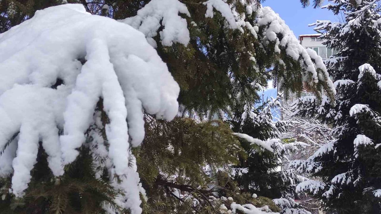 Ardahan'da Nisan Karı: Milli Egemenlik Parkı'nda Kartpostallık Görüntüler