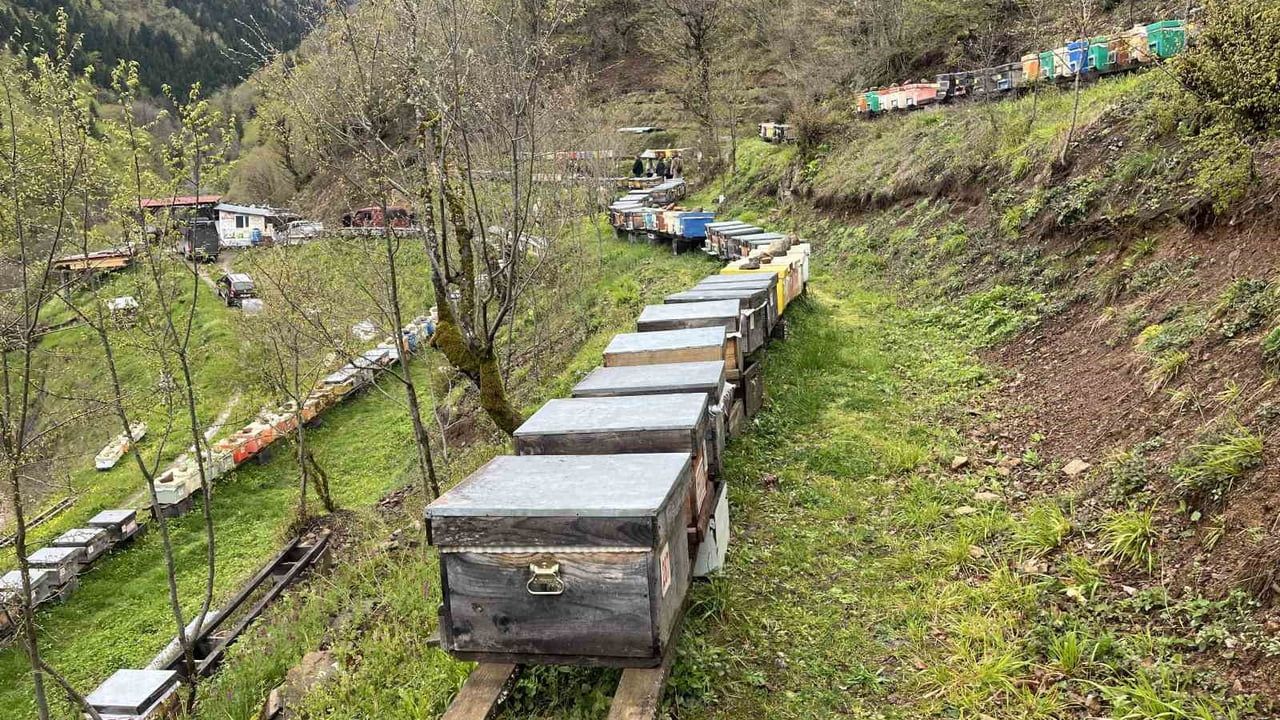 Artvin'de Bal Çalıştayı: Apiturizm ve Marka Değeri Öne Çıktı