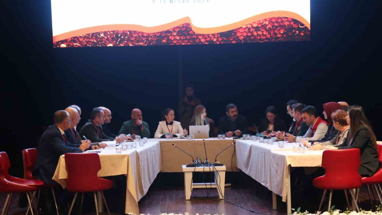 Artvin'de Bal Çalıştayı: Arıcılık, kalite ve markalaşma gündemde