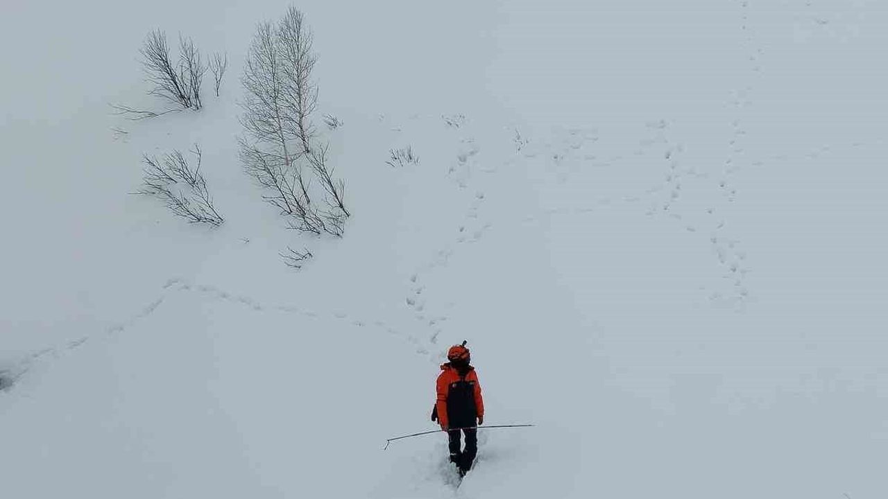 Artvin'de çığ incelemesi: 95 gündür kayıp çoban için arama şartları oluşmadı