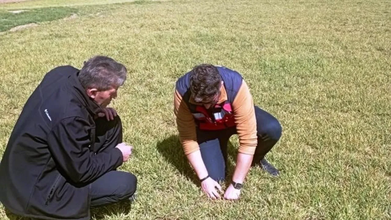 Aslanapa'da soğuk hava nedeniyle hububat ekili alanlarda hasar incelemesi