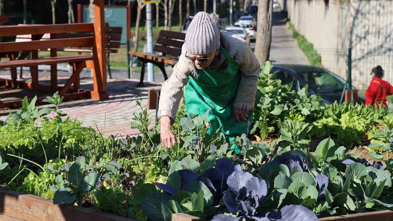 Ataşehir Kent Bostanları'nda yeni dönem: Barbaros ve Mevlana için başvurular 06-13 Nisan 2026