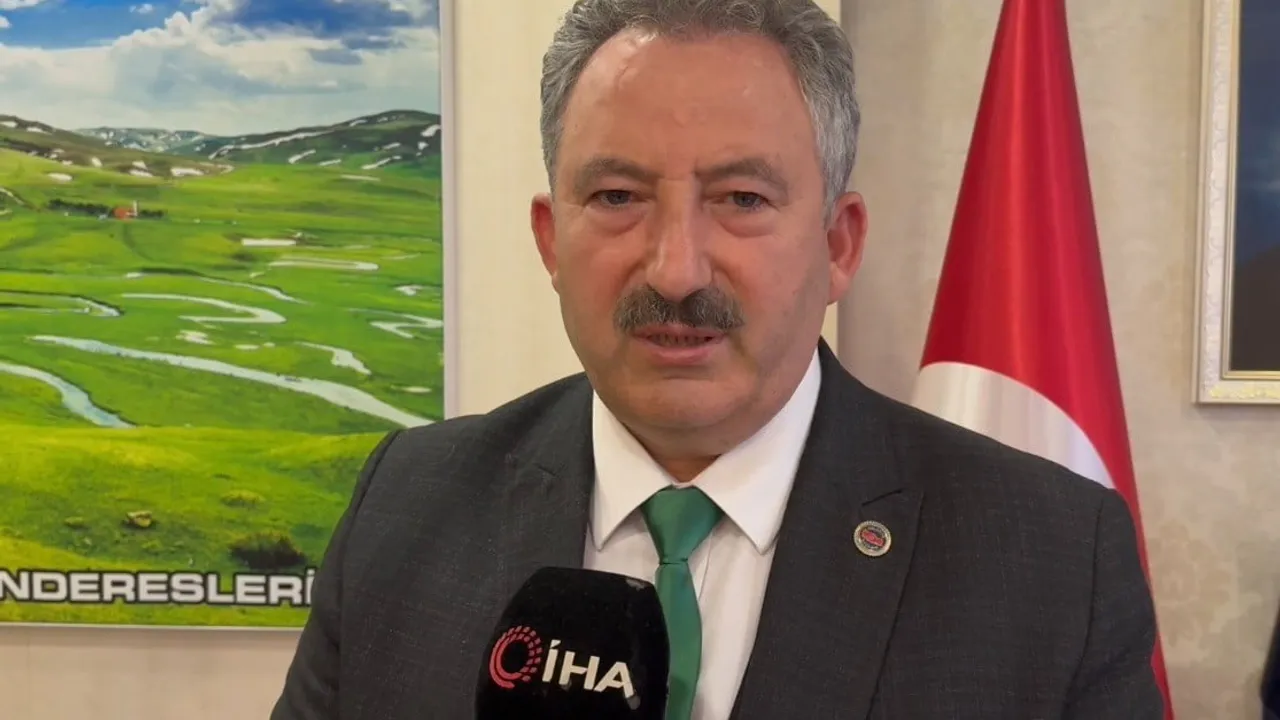 Aybastı'da başıboş köpeklerin artışı: Belediye kısırlaştırma ve koordinasyon çağrısı yapıyor