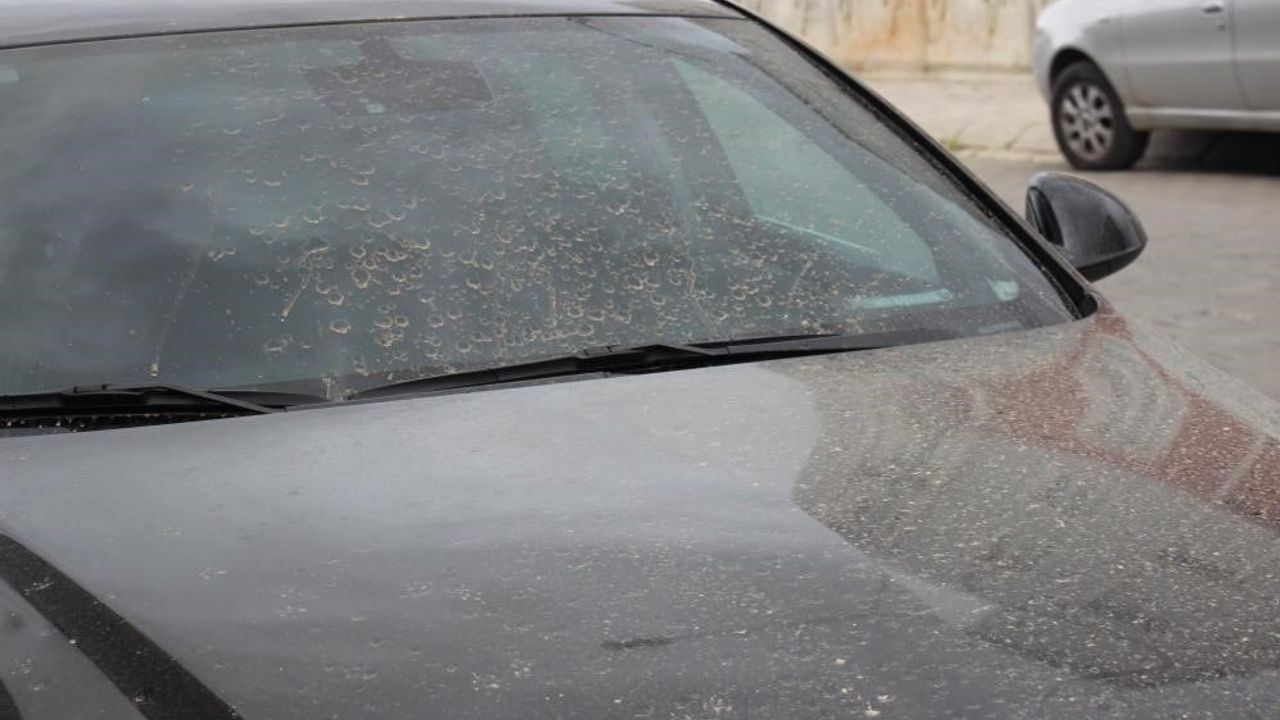 Aydın'da Kuzey Afrika kaynaklı toz taşınımı bekleniyor (14.04.2026–16.04.2026)