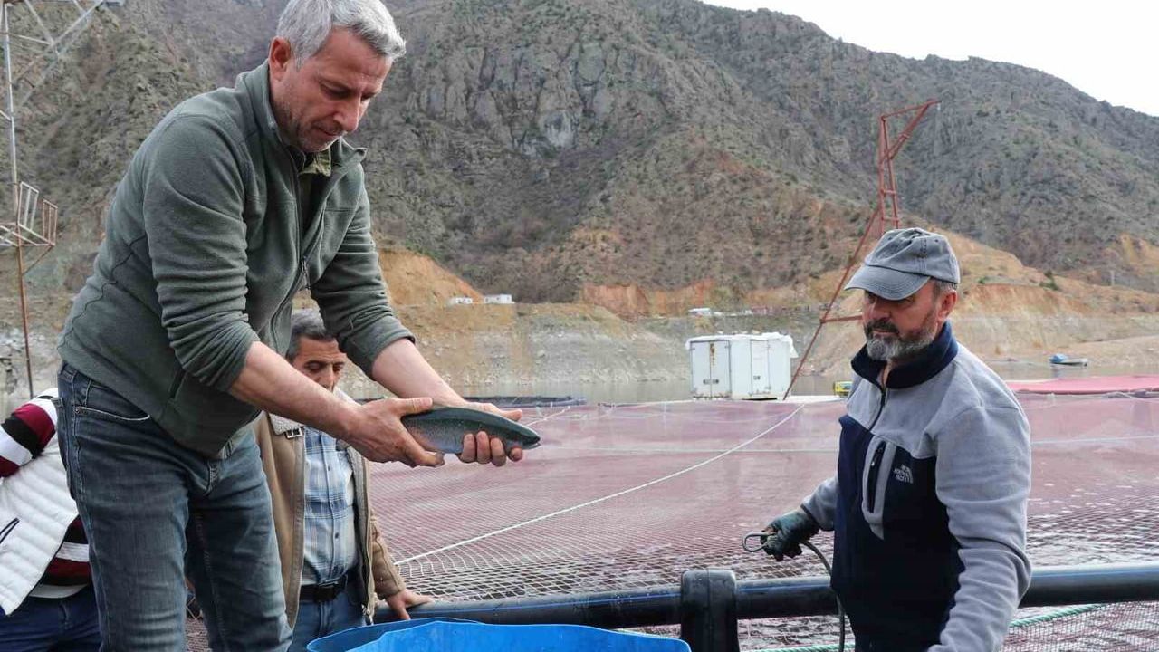Ayvalı Barajı'nda hedef: Yıllık 250–300 ton alabalık ve somon üretimi