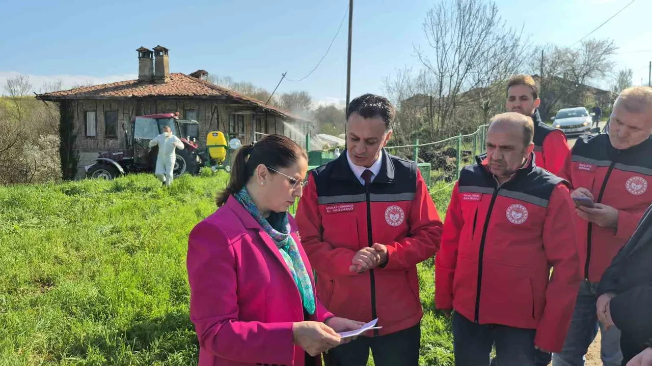 Bartın'da kahverengi kokarcayla mücadele: 95 köyde 16 bin metruk yapı ilaçlanıyor