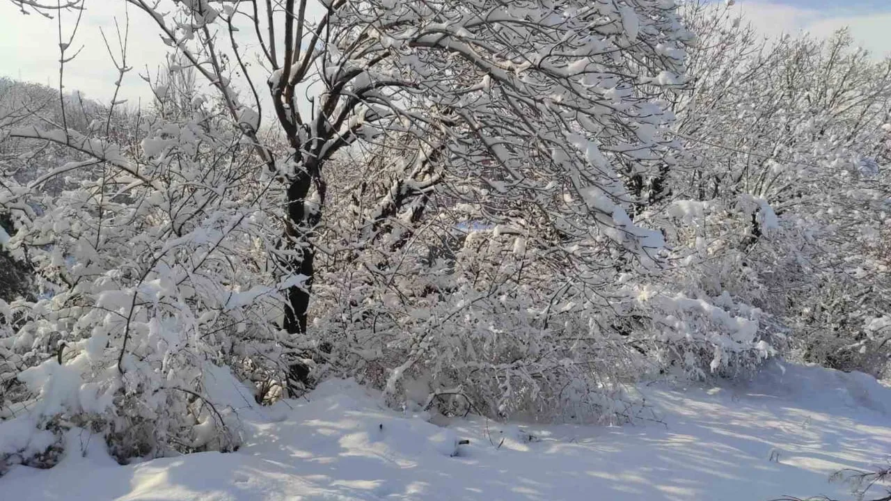 Batman'da Nisan Ortasında Kar Sürprizi: Sason Köylerinde Kar Kalınlığı Yarım Metreyi Aştı