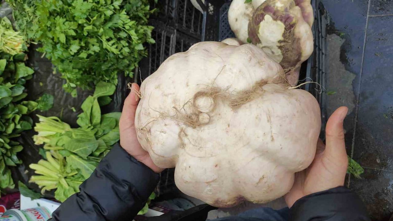 Batman'da Pazar Tezgahında Sergilenen 4 Kiloluk Turp İlgi Çekti