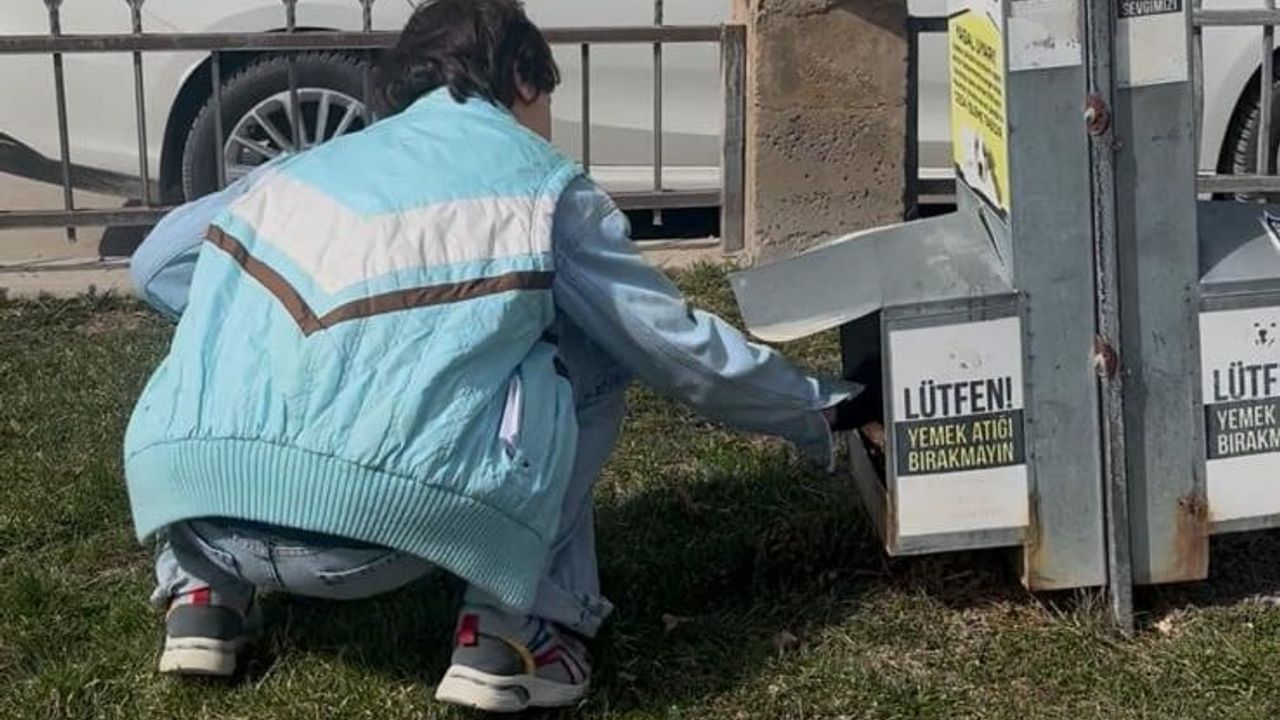 Bayburt Özel Eğitim Uygulama Okulu Öğrencilerinden Otizm Farkındalık Günü'nde Sokak Hayvanlarına Mama Desteği