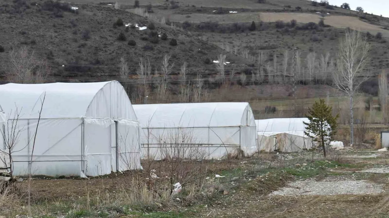 Bayburt’ta Eko-Köy 2 Projesi ile Sebze Üretimi Artırılacak