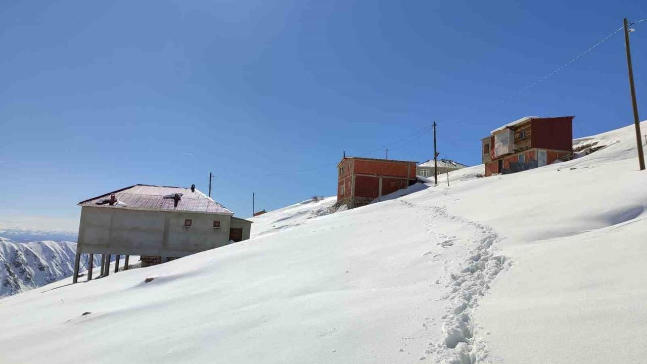 Bayburt’ta Sarıçiçek Yaylası’nda ayılar üç yayla evine zarar verdi; köylüler yolun açılmasını istiyor
