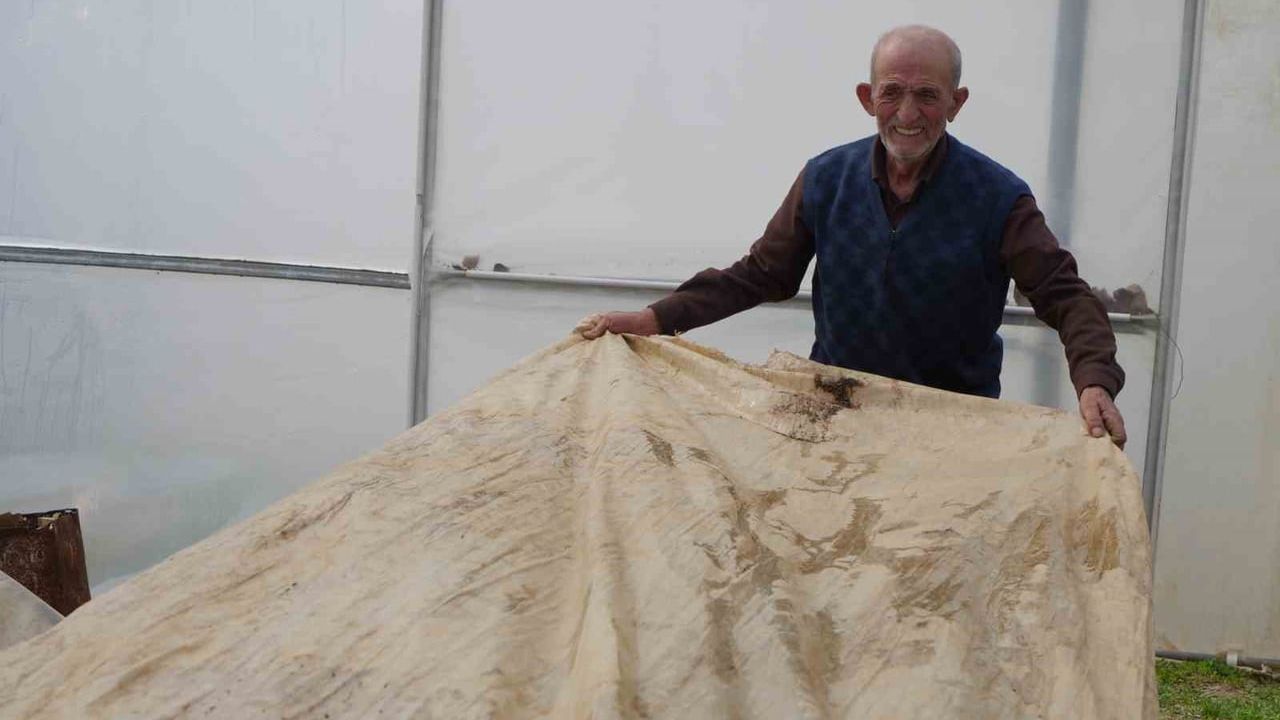 Bayburtlu 76 yaşındaki üretici serasında ata tohumları için zirai don nöbetinde