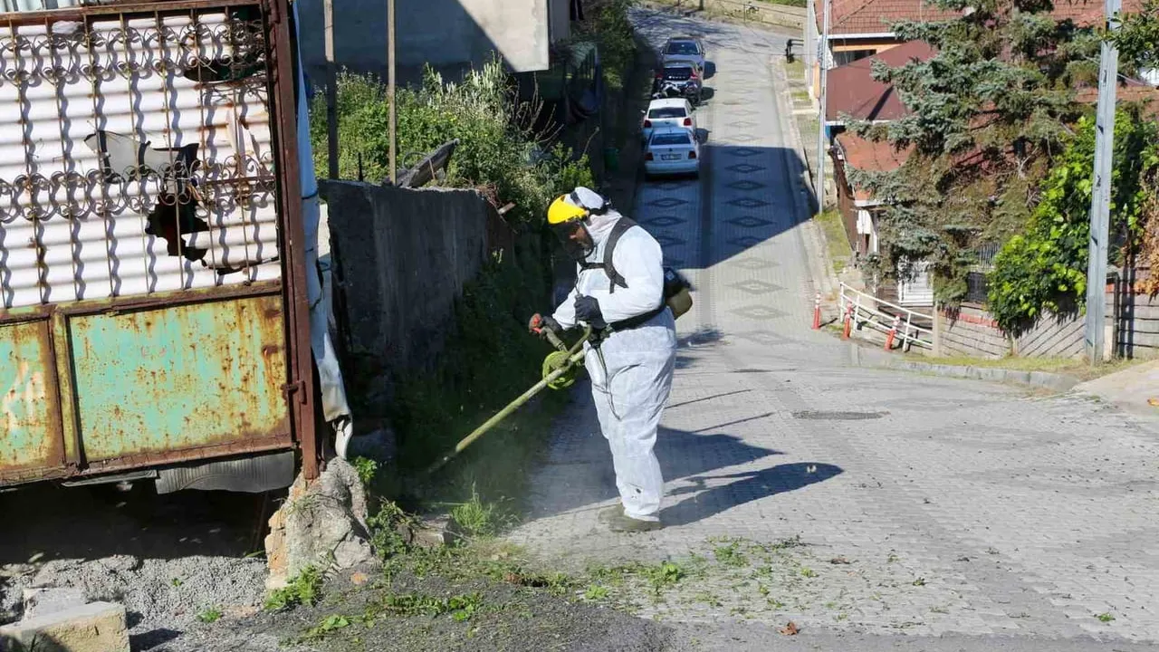 Beykoz'da Şok Hizmet Paşabahçe’de: Altyapı, Temizlik ve Trafik Müdahaleleri