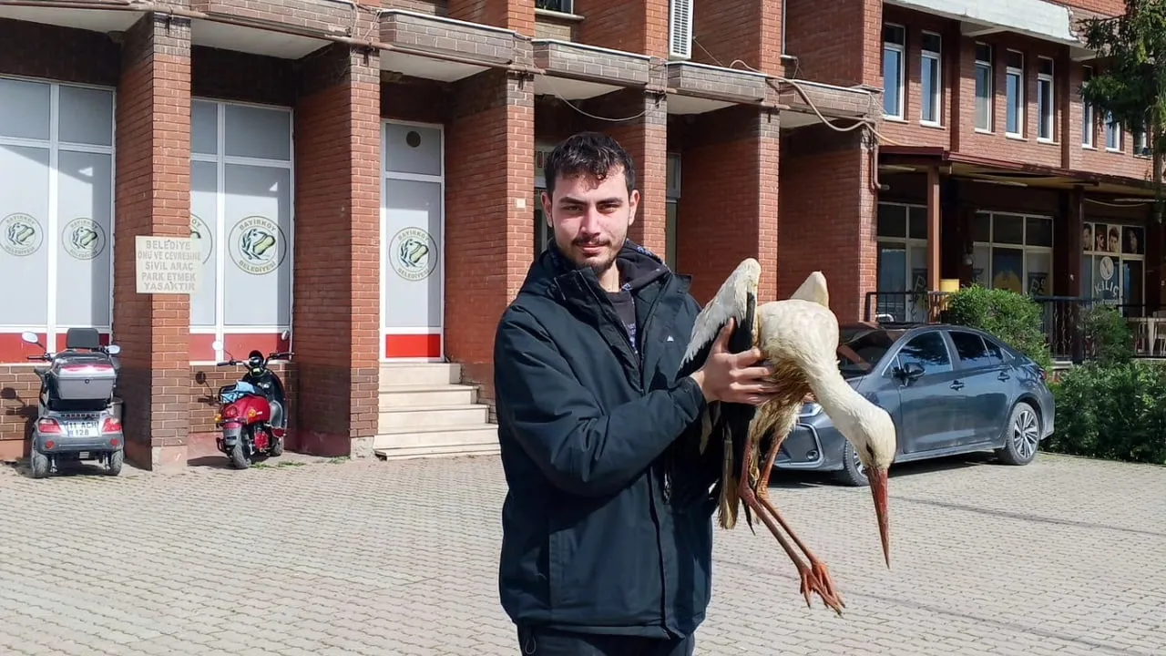 Bilecik Bayırköy'de yaralı leylek koruma altına alındı