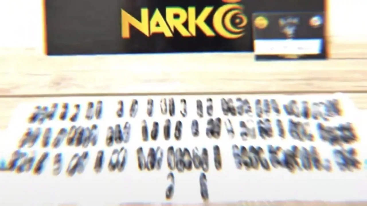 Bingöl'de Narkotik Operasyonu: Mide ve Bağırsaklarında 103 Kapsül Afyon Sakızı Bulunan Şüpheli Tutuklandı