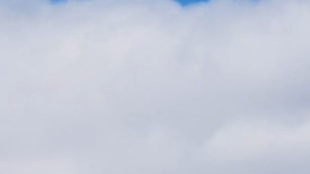 Bingöl'ün Karla Kaplı Dağlarında Yuvasında Görüntülenen Kızıl Tilki