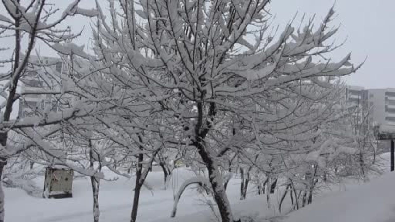 Bitlis'te 111 köy yolu kar nedeniyle ulaşıma kapandı