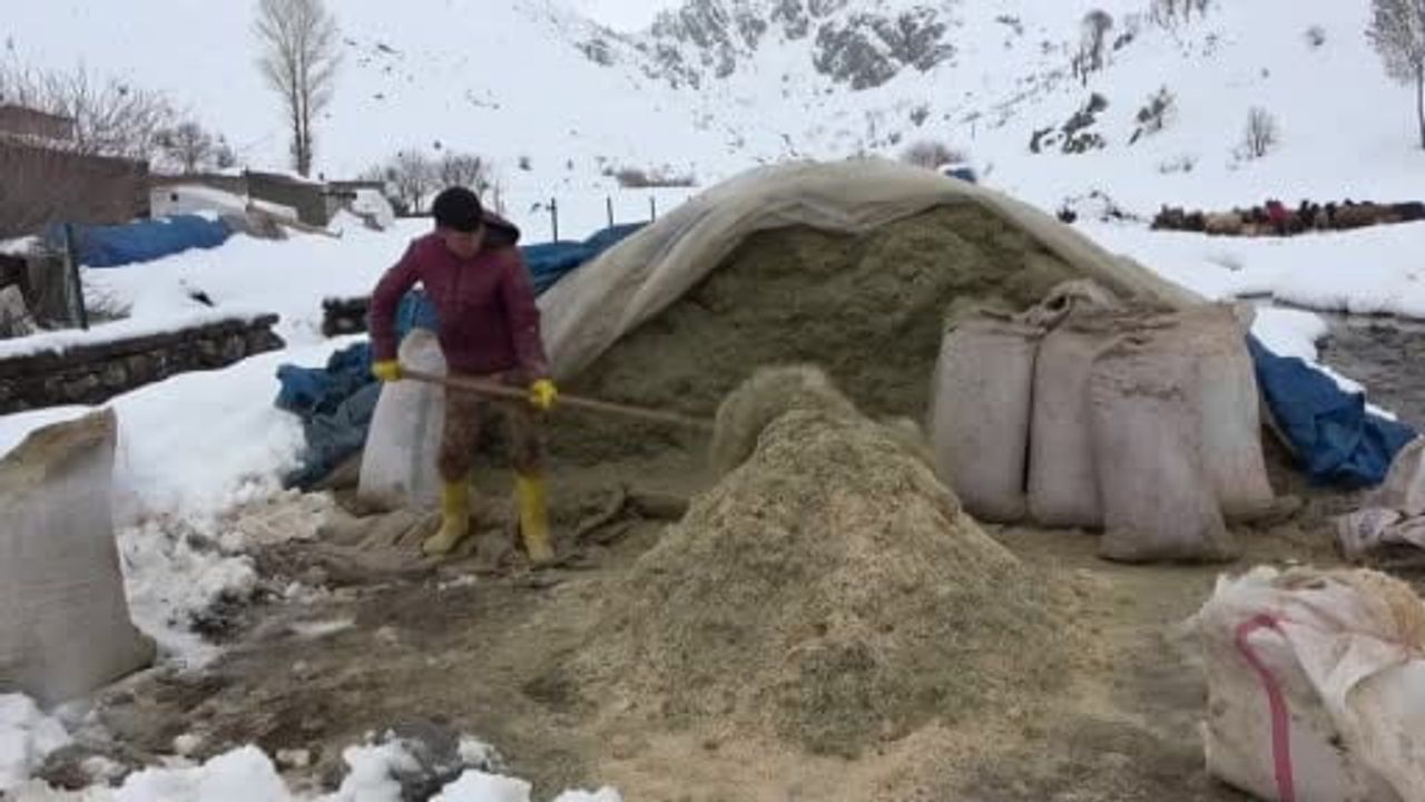 Bitlis'te uzayan kış küçükbaş hayvancılığını zorluyor: Yanlızçamlar'da yem stoku tükenme noktasında