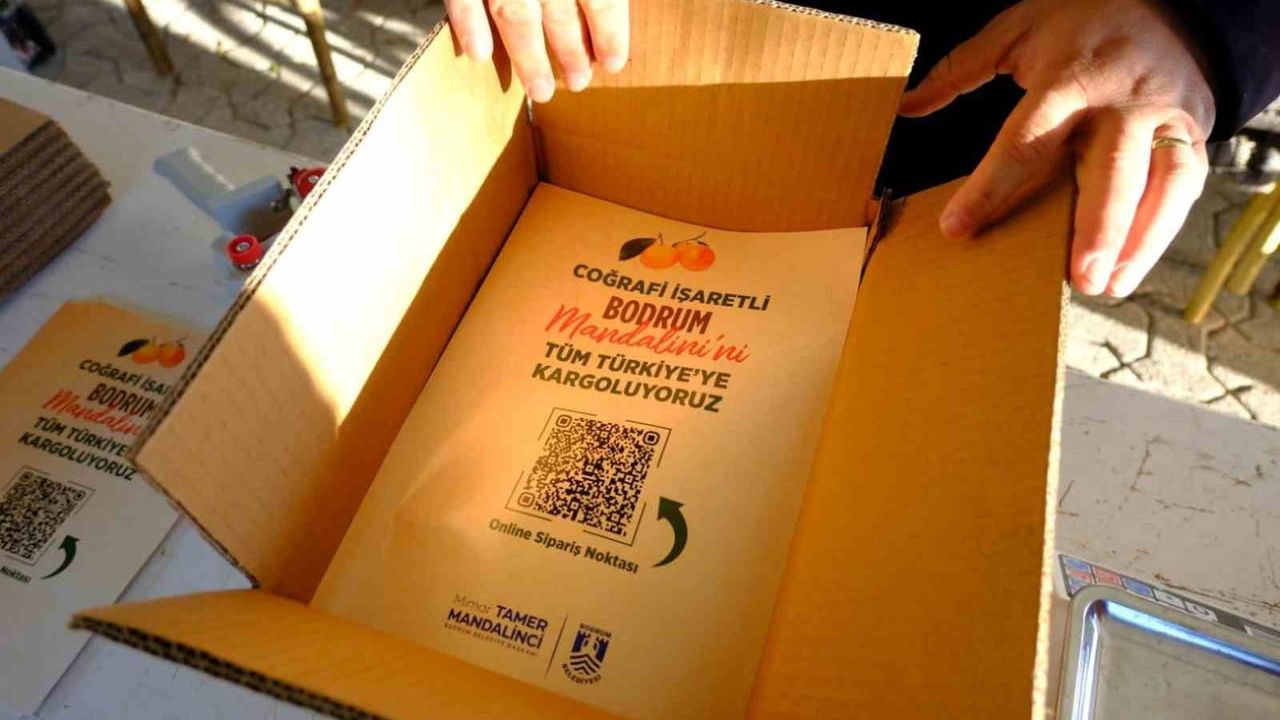 Bodrum Belediyesi'nden 103 Mandalin Üreticisine Yaklaşık 5 Milyon TL Destek