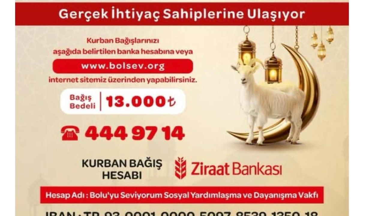 Bolu'da kurban bağışı iddiası: BolSev üzerinden bağış toplandı, müfettiş raporlarında kurban kaydı yok