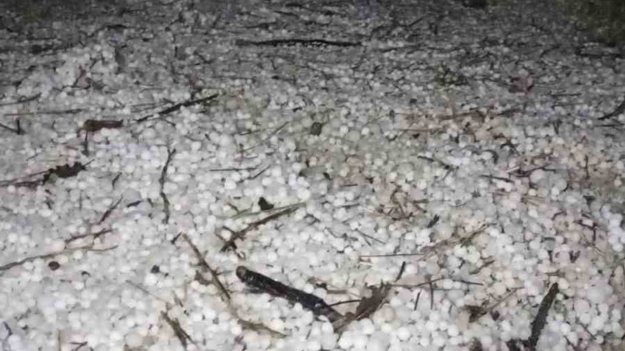 Bolu'da Sabah Dolu Etkili Oldu: Mudurnu'da Yeşil Alanlar Beyaza Bürüdü