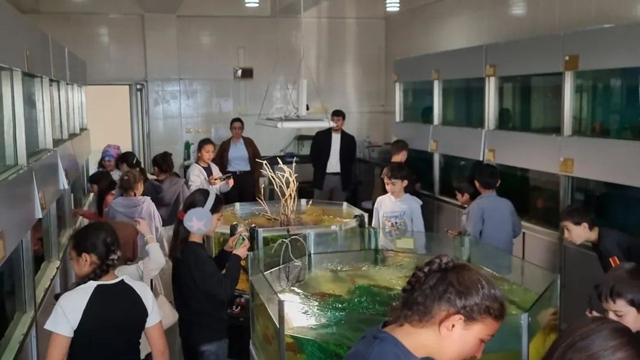 Boyabatlı Öğrenciler Sinop’un Tarihi ve Bilimsel Zenginliklerini Keşfetti