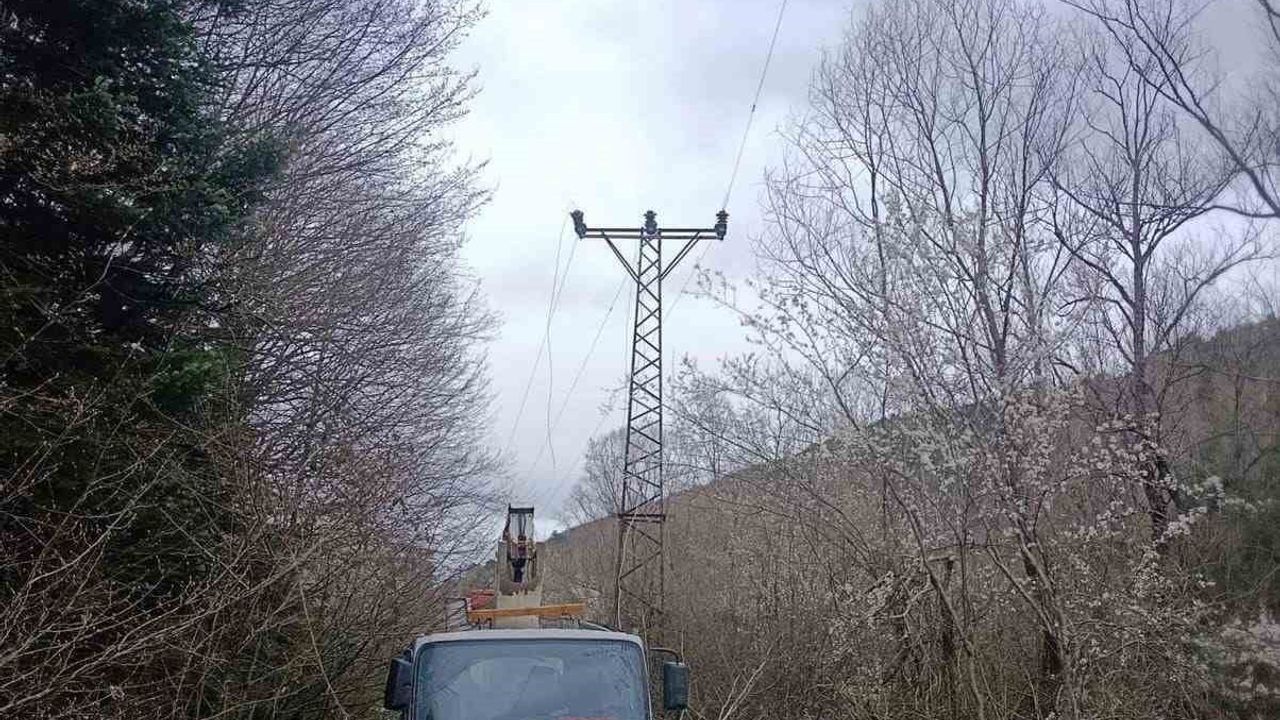 Bozüyük’te yüksek gerilim hattındaki arızayı gideren işçi elektrik akımına kapılarak ağır yaralandı
