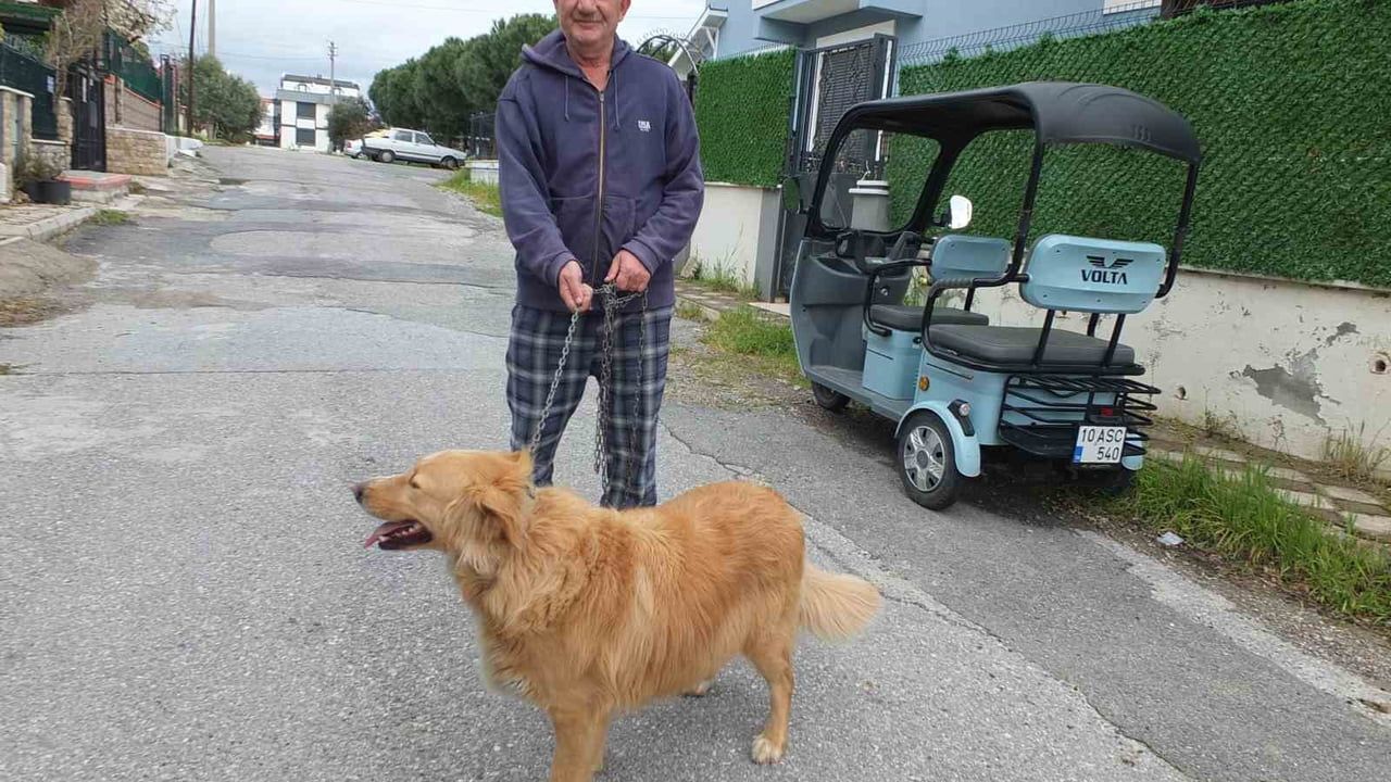 Burhaniyeli emlak danışmanı Fikret Zeybek’in hayvan sevgisi takdir topladı