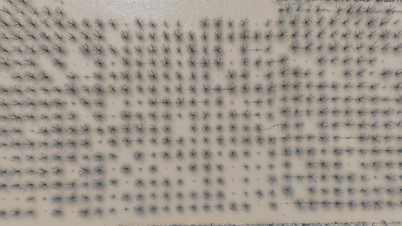 Bursa'da barajlar ve göller doldu; Uludağ'da nisan başında 1,5 m kar, baraj doluluk yüzde 93'ün üzerinde