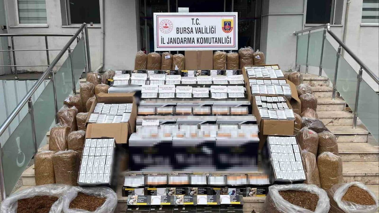Bursa Gemlik'te jandarmadan kaçak tütün operasyonu: 205 bin makaron ve 200 kg tütün ele geçirildi