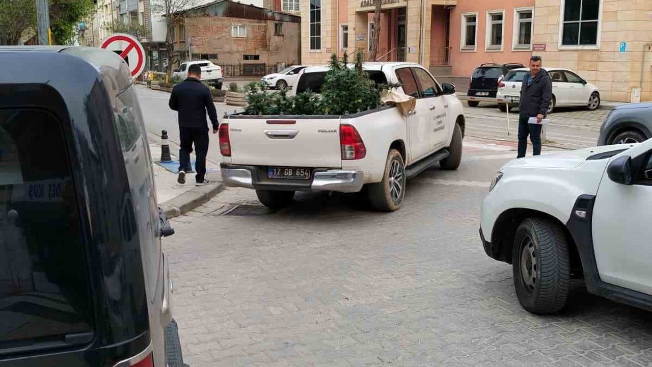 Çan'da apartman dairesinde kenevir yetiştiren şüpheli gözaltına alındı