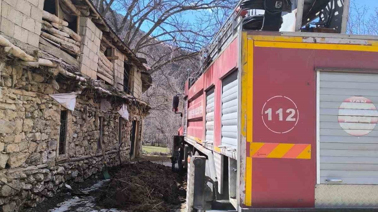 Çatak'ta ceviz ağacı ahırın üzerine devrildi: İtfaiye kontrollü müdahale etti