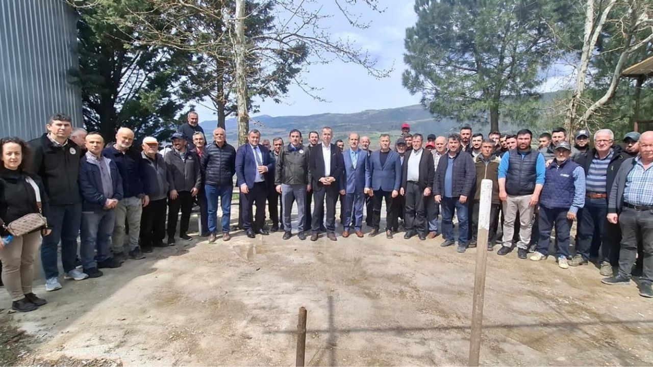 Çerkeşli Köyü'nde üreticilere uygulamalı gübreleme ve budama eğitimi verildi