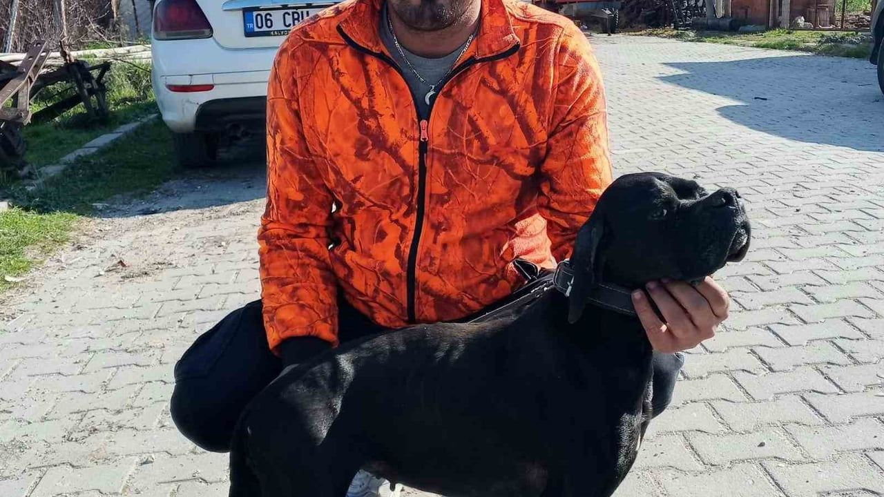 Çiğli’de arıtma tesisinde araçla çamur çukuruna düşen işçi yaşamını yitirdi