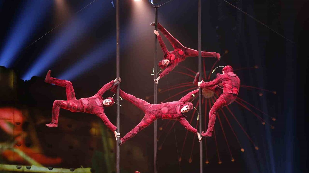 Cirque du Soleil'in 'OVO' gösterisi 10 yıl sonra İstanbul'da: 21-24 Mayıs Ülker Arena'da