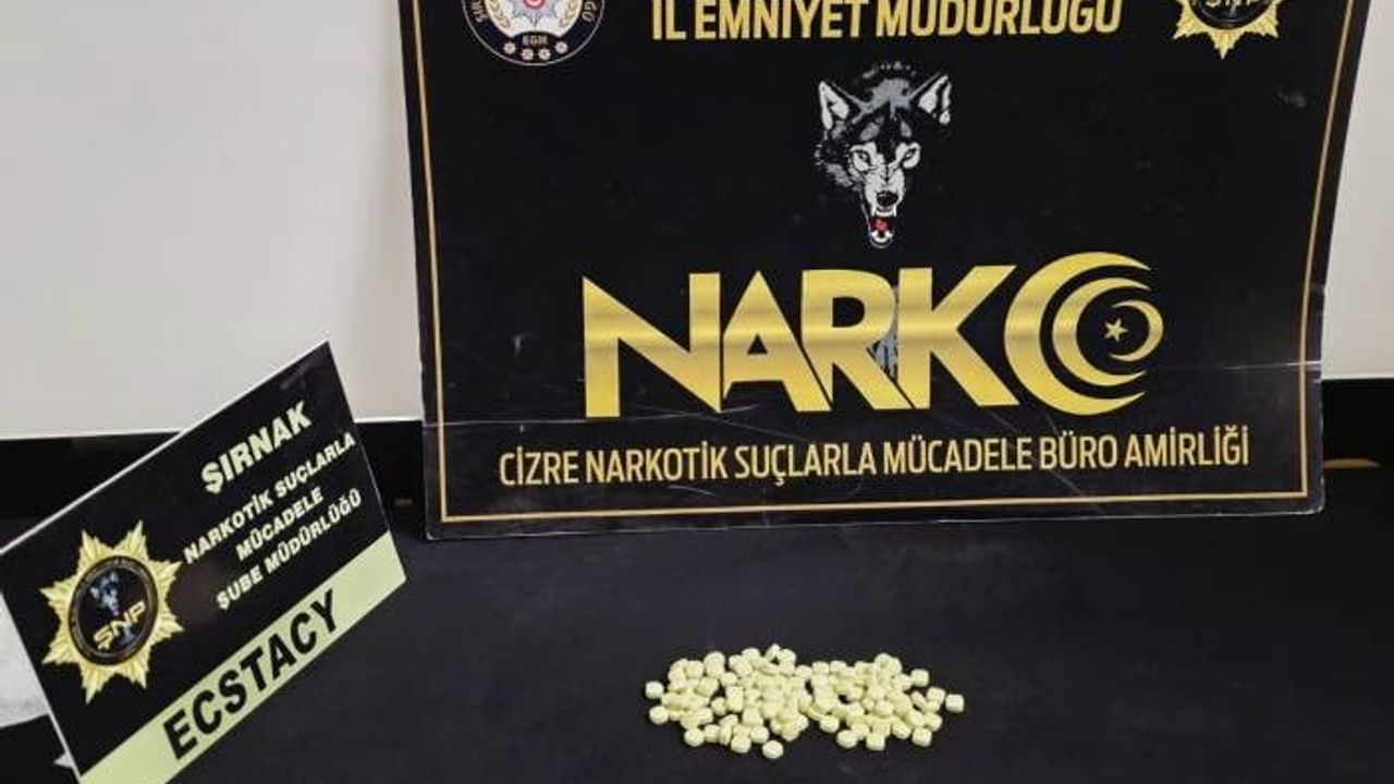 Cizre'de 114 ecstacy hap ele geçirildi: 2 şüpheli gözaltında