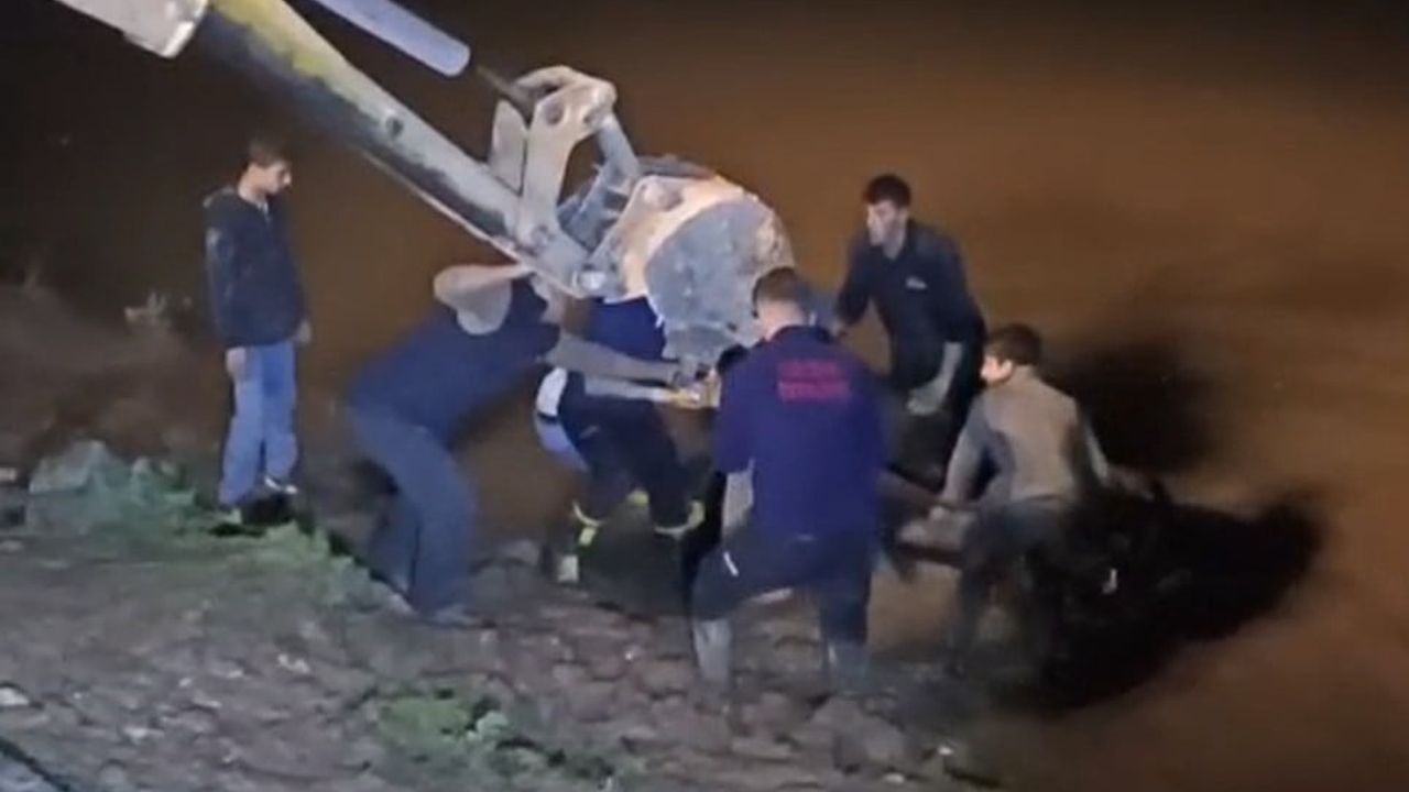 Cizre'de Dicle Nehri'ne Düşen İnek İş Makinesiyle Kurtarıldı