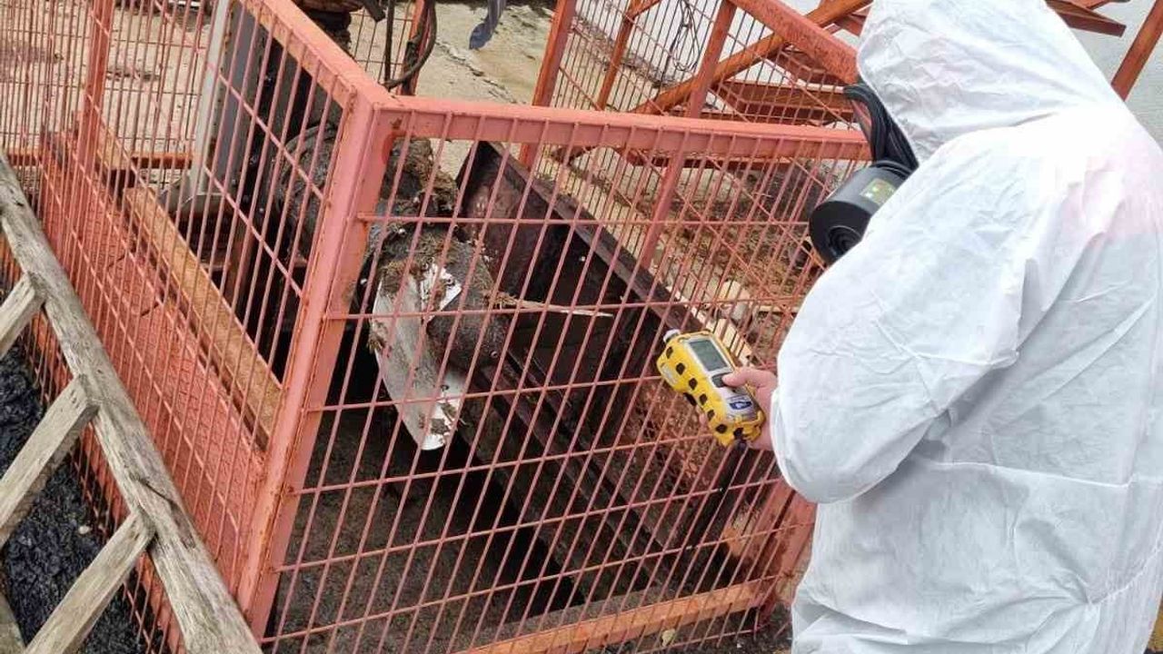 Çorum'da çiftlikte gaz şüphesi: 1 işçi ve 2 büyükbaş etkilendi, AFAD ölçüm yaptı
