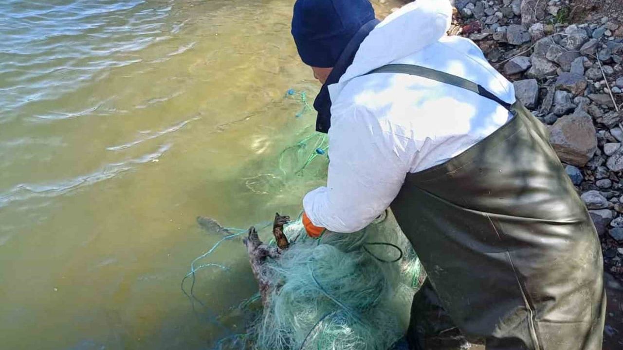 Çorum'da Obruk Baraj Gölü'nde 500 metre kerevit sepeti ve 7.200 metre misina ağı ele geçirildi