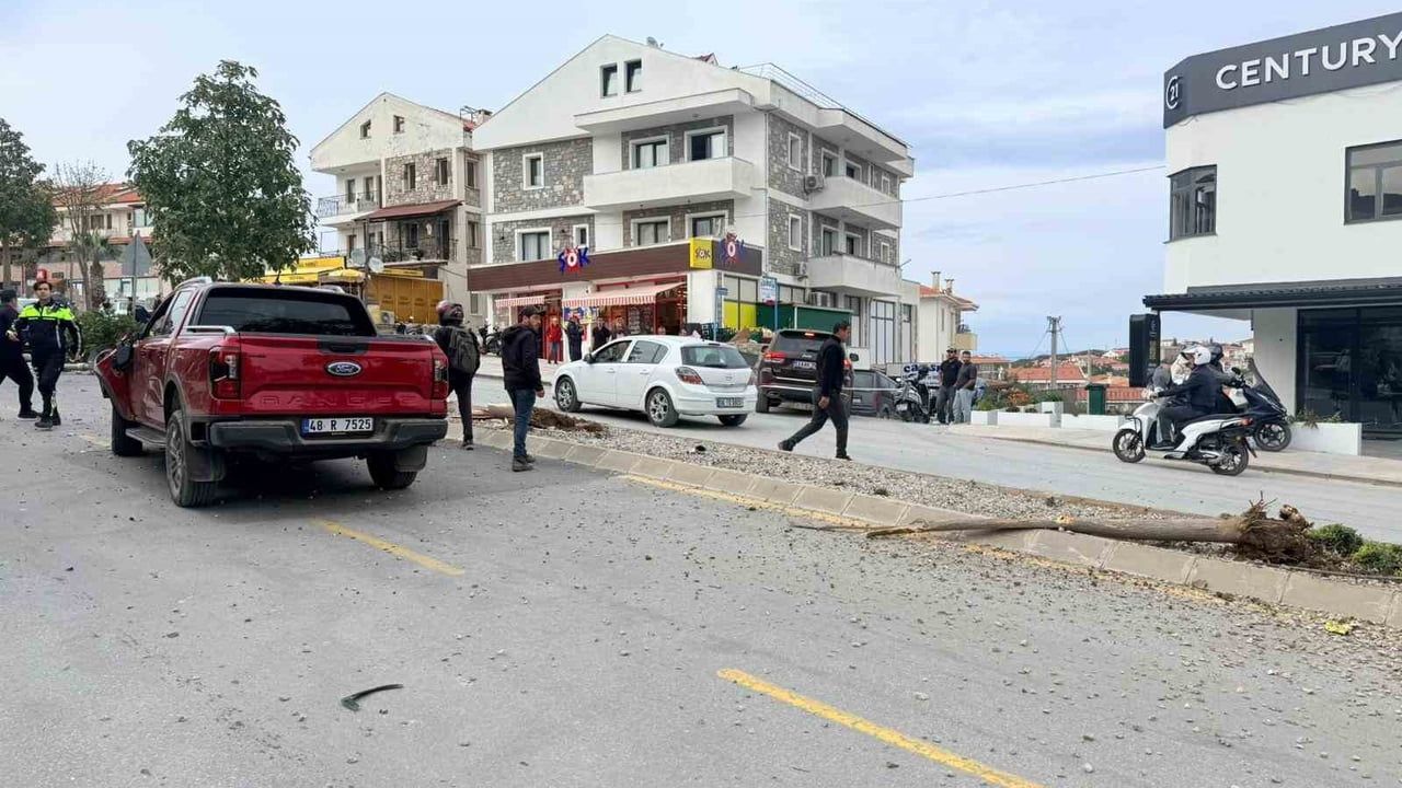 Datça'da kontrolden çıkan otomobil refüjde 2 ağacı ve bir elektrik direğini devirdi: Yaralanma yok