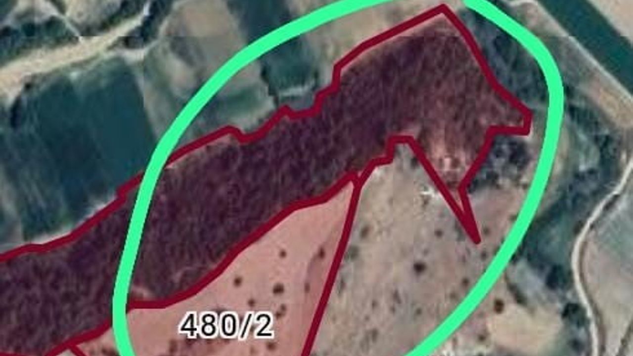 Denizli'nin Buldan ilçesindeki Derbent Karlık Mevkii sit alanı ilan edildi