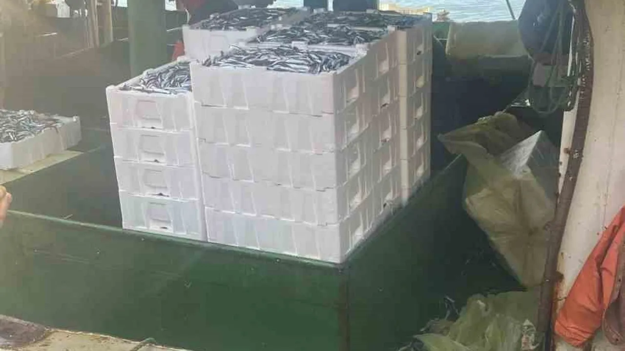 Didim'de hamsi kotası denetimi: Altınkum ve Taşburun'da gırgır tekneleri kontrol edildi