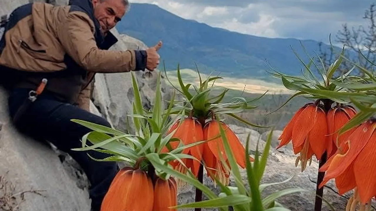 Diyarbakır Çermik’te açan ters laleler doğaseverlerin ilgisini çekiyor
