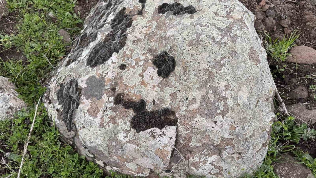 Diyarbakır Çermik'te taş yosunları kına alternatifi olarak kullanılıyor